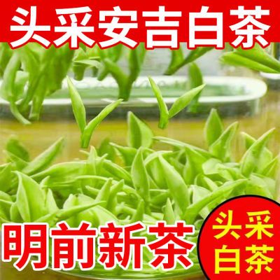 安吉白茶2024新茶明前头采特级白茶正宗嫩芽高档高山绿茶叶罐