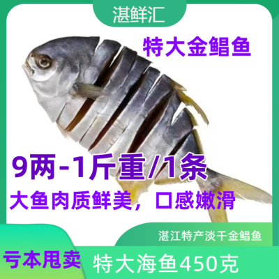 湛江特产即食正宗淡干鲳鱼深海淡晒海鱼特大号金鲳鱼海鱼干淡干