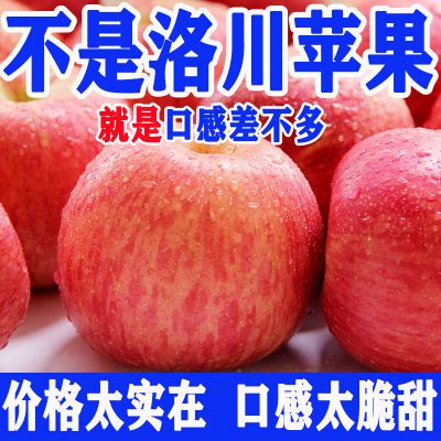 【巨划算】正宗陕西红富士苹果冰糖心脆甜水果当季应季新鲜一整箱