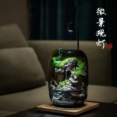 微景观专用灯生态瓶造景植物生长补光灯苔藓灯办公室桌面盆栽usb