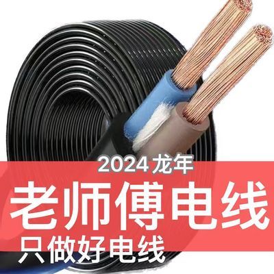 老师傅电线电缆家用双芯工地电源线户外插座带线照明电锤充电水泵