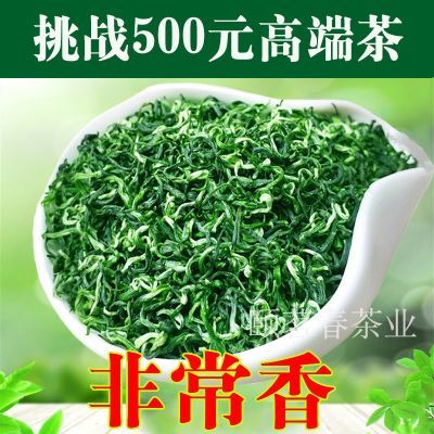 特级绿茶正品2024新茶贵州浓香型板栗香日照足云雾茶叶散装500g