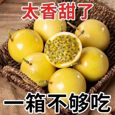 【批发价】钦蜜9号百香果蜂蜜黄金百香果孕妇水果产地批发包邮