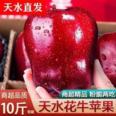 【新鲜水果】甘肃天水花牛苹果整箱红蛇粉面果平安果宝宝辅食批发