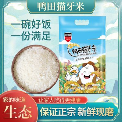 家庭大米当季长粒米家用正品猫牙米优选新鲜健康鲜米小包装煲仔饭