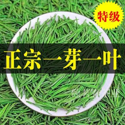 正品特级雀舌绿茶叶2024新茶正宗贵州雀舌新鲜绿茶一芽叶散装500g