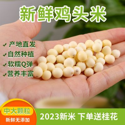 2024天长新鲜野生去皮特级鸡头米鸡头果芡实茨实煲汤原味200g