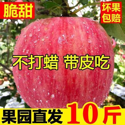爆甜】正宗红富士苹果水果新鲜苹果冰糖心脆苹果丑苹果批发一整箱