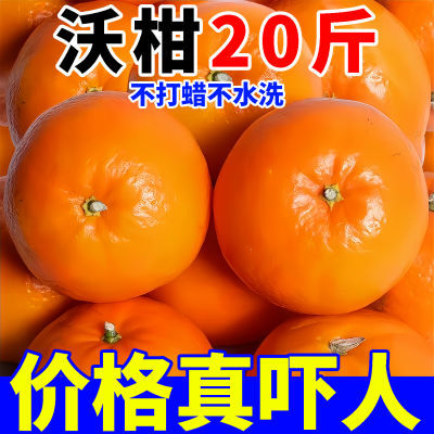【不打蜡】正宗沃柑新鲜水果当季整箱一级蜜橘砂糖柑橘桔子橘子