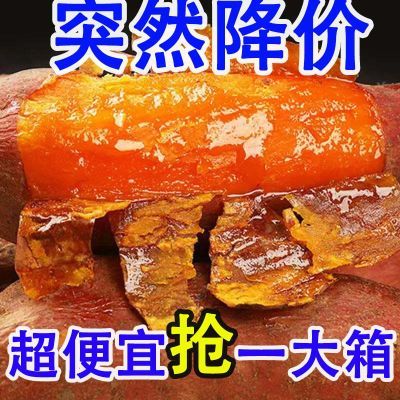 【超低价批发】红薯苗种红蜜薯种流油红糖心瓤高产红薯地瓜番薯