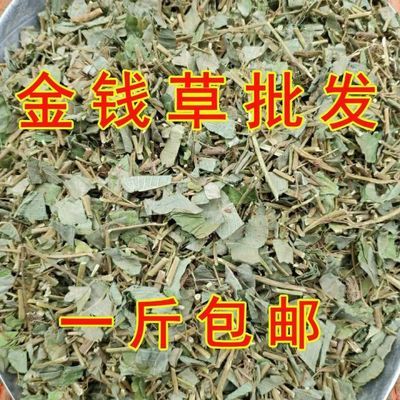 金钱草广西野生金钱草中草药广金钱草冲剂泡水金钱草茶金钱草干品