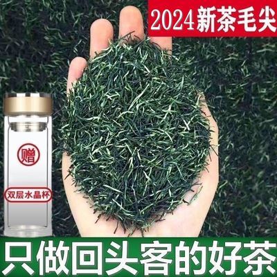 毛尖茶叶 2024新茶茶叶信阳绿茶春茶散装明前手工嫩芽浓香耐泡茶