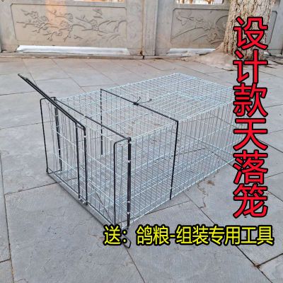 设计款家用养殖户外天落笼大号捕猫笼鸽子笼镀锌防锈抓猫笼