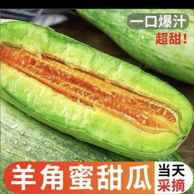 [爆甜现摘]2024头茬产品味道羊角蜜甜瓜山东新鲜水果当季脆甜整箱