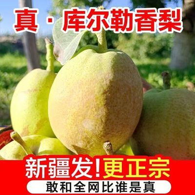 【新疆直发】库尔勒香梨清香甜香生鲜公母四季绿皮梨薄皮香梨当季