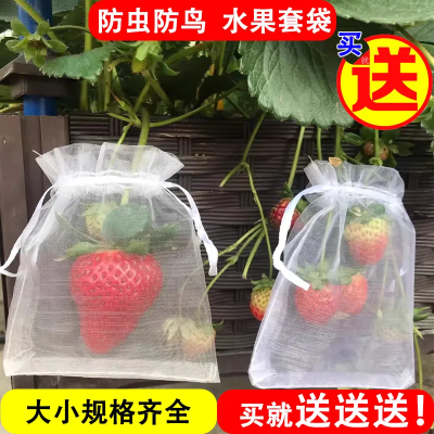 套果袋尼龙网袋葡萄套袋子防鸟网防虫水果防虫网袋草莓透气专用袋