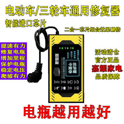 【出口德国】电动车电瓶修复器全自动修复电瓶充电器8V60V72V96V