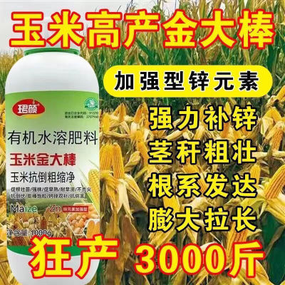 玉米金大棒增产增收玉米高产肥壮苗抗倒拉长膨大素叶面肥正品