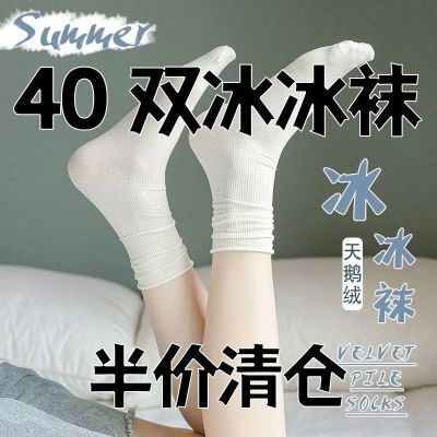 40双装堆堆袜女薄款冰冰袜天鹅绒袜子女夏天中筒袜宠物袜子冰丝袜