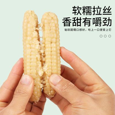 云南西双版纳小拇指玉米真空包装即食宝宝代餐袖珍拇指小白糯玉米