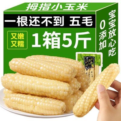 【精品】拇指玉米西双版纳香糯小玉米真空包装低脂减脂软糯玉米棒