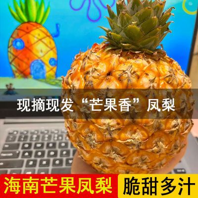 【海南发芒果凤梨】整箱5斤脆甜多汁香味凤海南金钻凤梨现摘现发