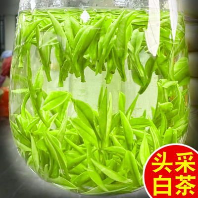 2024新茶【头采珍稀白茶】正品特级白茶毛峰浓香型黄金芽罐装礼盒