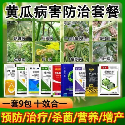 正品黄瓜专用套餐黄瓜小黄点靶斑病角斑病霜霉病专用药黄瓜病全治