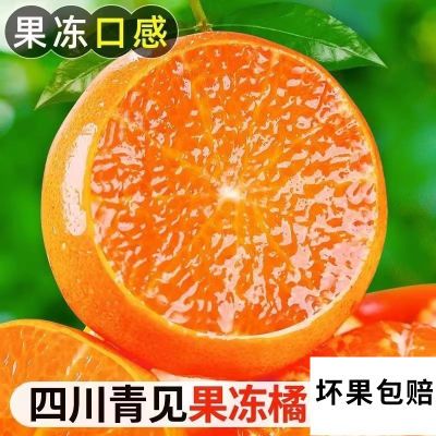 四川果冻橙薄皮青见现货橙子新鲜手剥甜柑橘当季水果整箱产地直发