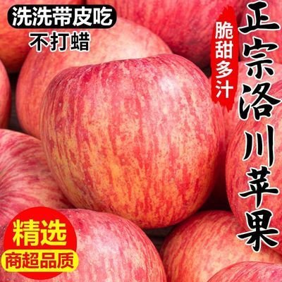 【精选新果】陕西正宗洛川脆甜红富士苹果整箱新鲜水果超甜礼盒装
