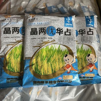 晶两优华占隆平杂交稻水稻种子高产杂交水稻种子香米水稻种稻谷种