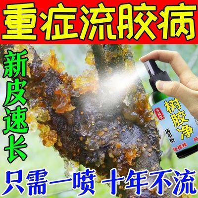 果树流胶一喷净桃树流胶病专用植物腐烂溃疡病封口愈合微生物菌剂