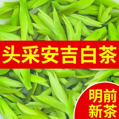 安吉白茶2024新茶】头采正品明前安吉白茶浓香型特级正宗白茶