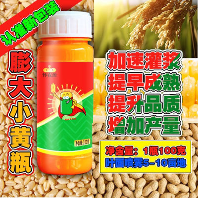 小黄瓶苄氨烷醇/水稻小麦玉米膨大1瓶10亩穗大粒多促灌浆饱千粒重