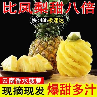 【现摘现发】云南正宗香水菠萝凤梨批发新鲜水果手撕菠萝爆甜凤梨