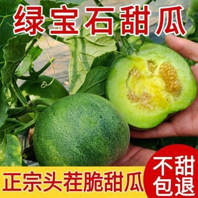 正宗头茬绿宝甜瓜绿宝石香瓜薄皮农家现摘新鲜应季水果非羊角蜜