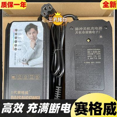 充满断电电动车充电器自停48V60V72V20A赛格威脉冲通用三孔充电器