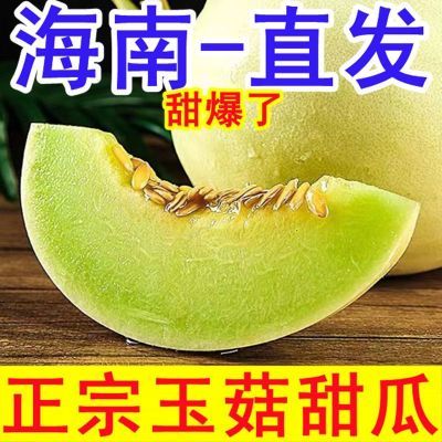 【不甜包赔】海南玉菇甜瓜冰淇淋哈密瓜香瓜孕妇新鲜水果批发价