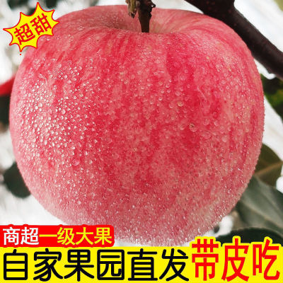 正宗天水有机四季红富士苹果红心糖心薄皮高品质南北成熟地栽耐寒