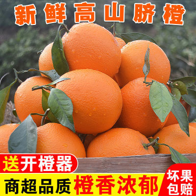 【精品】新鲜高山脐橙橙子夏橙甜橙水果香甜孕妇鲜橙赣南批发包邮