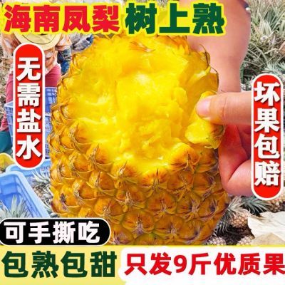 海南金钻凤梨9斤新鲜水果当季香水菠萝特产大果手撕无眼凤梨整箱