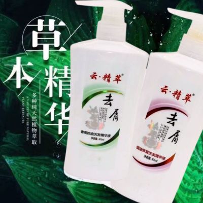 云精萃去屑焗油洗发水止痒控油老牌子修复去油洗发露清爽植物精华