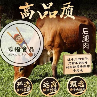 【顺丰速度】正宗潮汕牛肉丸/牛筋丸  潮汕特产火锅烧烤食材