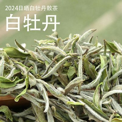 福鼎白茶2024年日晒明前白牡丹散装茶100克500克