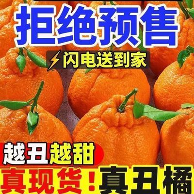 四川丑八怪丑橘丑桔不知火薄皮当季新鲜水果现货非春见耙耙柑包邮