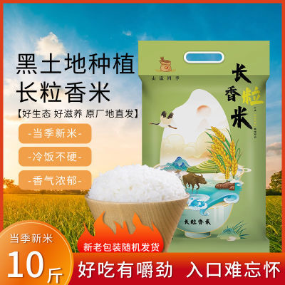 2023年磨新米长粒香东北大米10斤长粒米香米粳米五常长粒香大米
