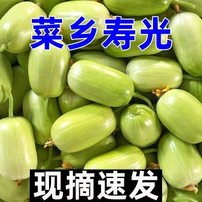 正宗玉女黄瓜当季新鲜水果黄瓜蔬菜生吃凉拌薄皮脆嫩爽口批发