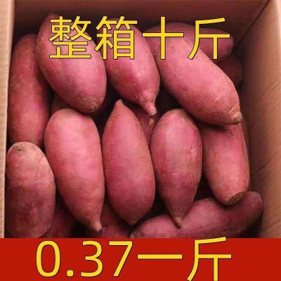 【热卖中】西瓜红沙地红心红薯新鲜板栗薯粉糯地瓜批发整箱红皮