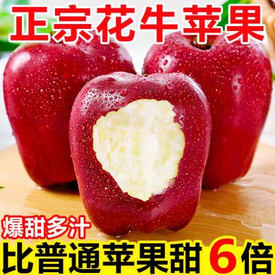 【正宗】天水花牛苹果新鲜甘肃蛇果应季粉面苹果水果批发一整箱
