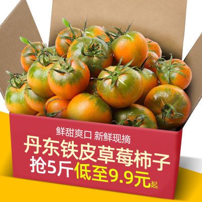 【精品】正宗铁皮西红柿丹东紫春桃碱地草莓柿子番茄孕妇水果新鲜